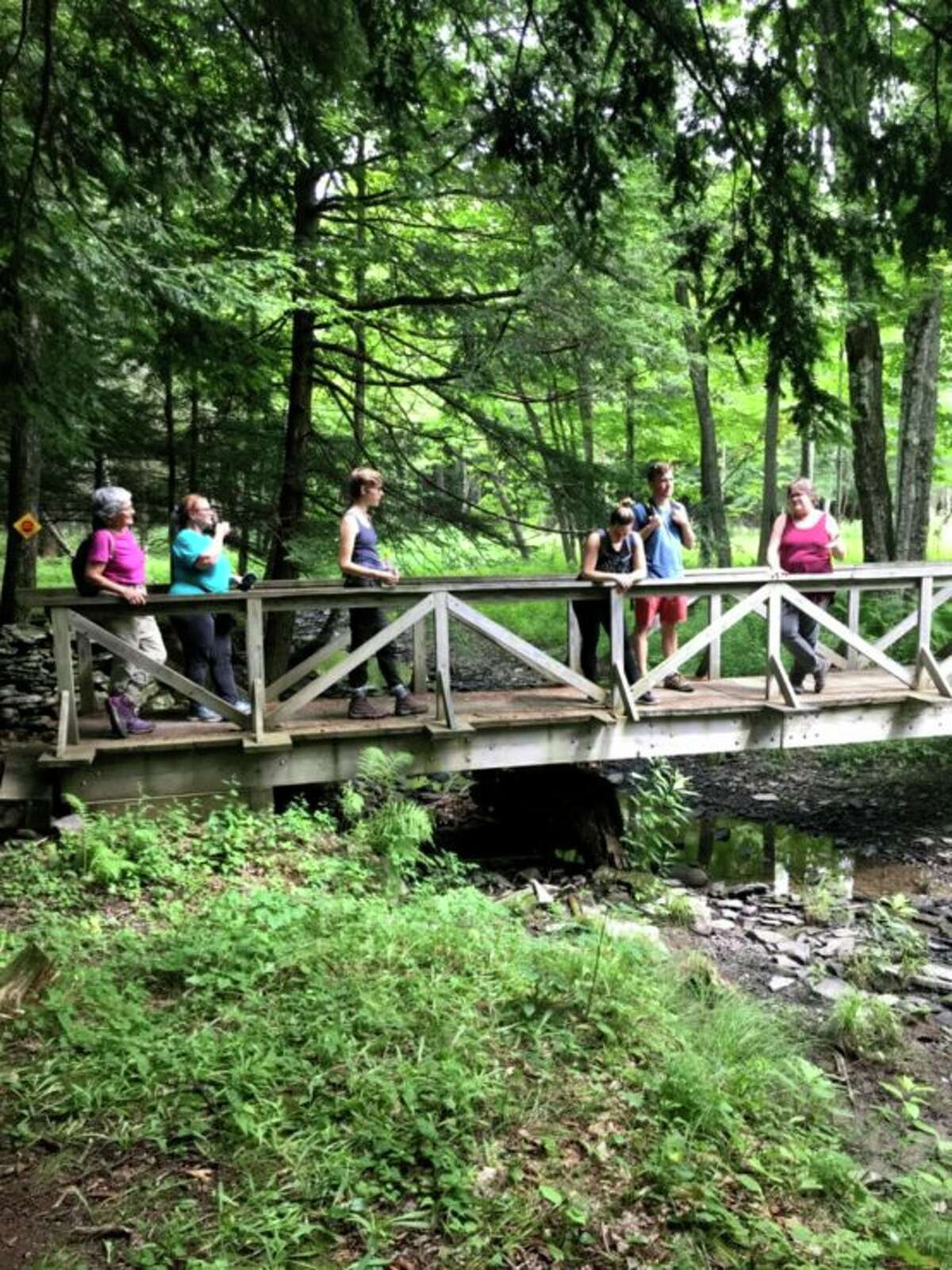 SEEN Mohawk Hudson Land Conservancy's Summer Hikeathon