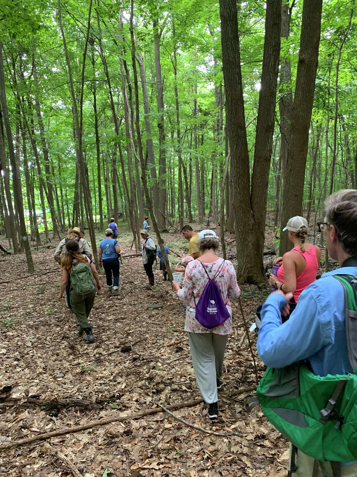 SEEN Mohawk Hudson Land Conservancy's Summer Hikeathon