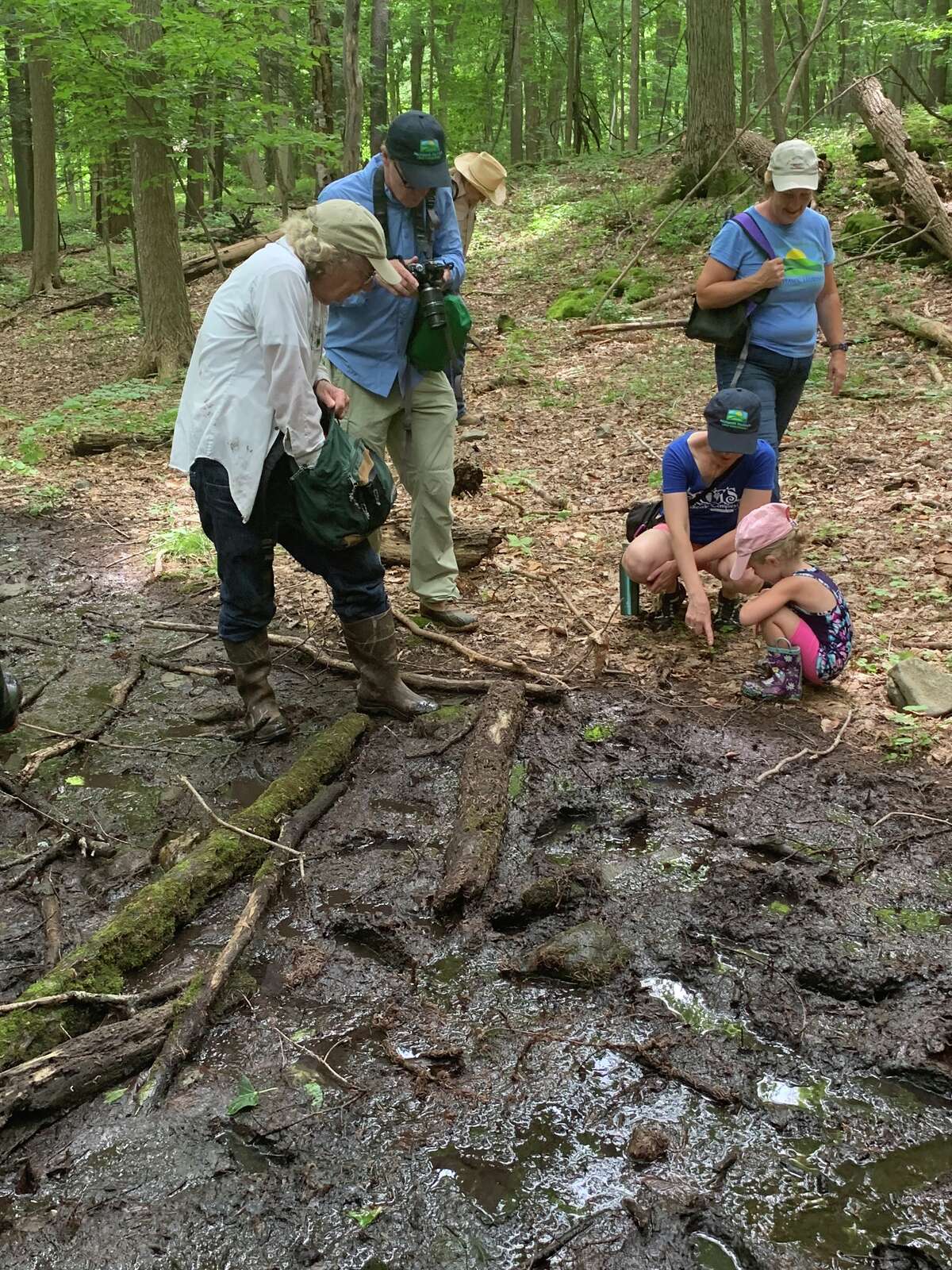SEEN Mohawk Hudson Land Conservancy's Summer Hikeathon