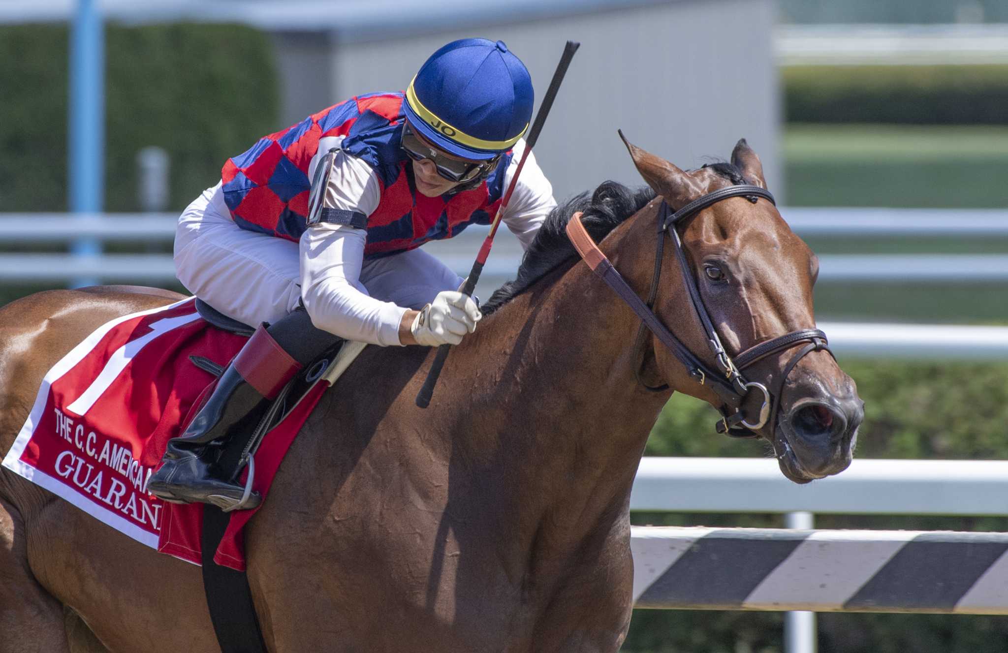 Saratoga Entries For Wednesday July 24 2019 Saratoga Entries For Wednesday July 24 2019