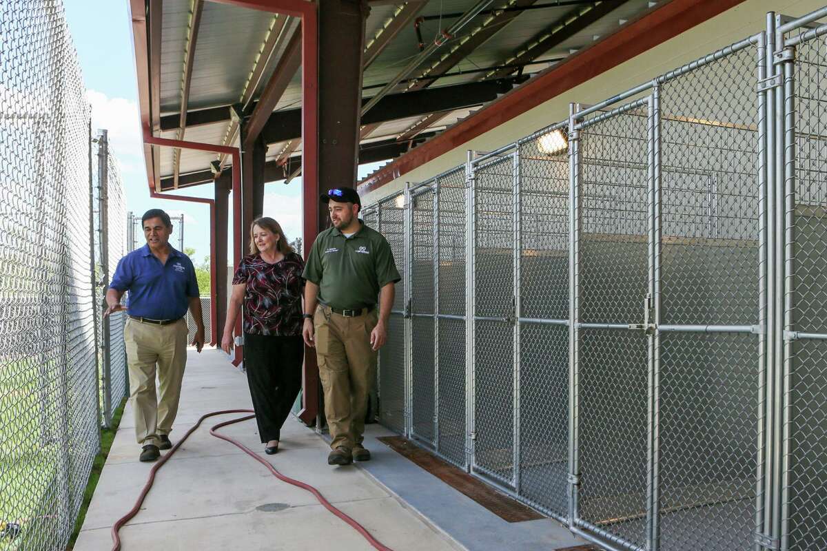 animal control converse