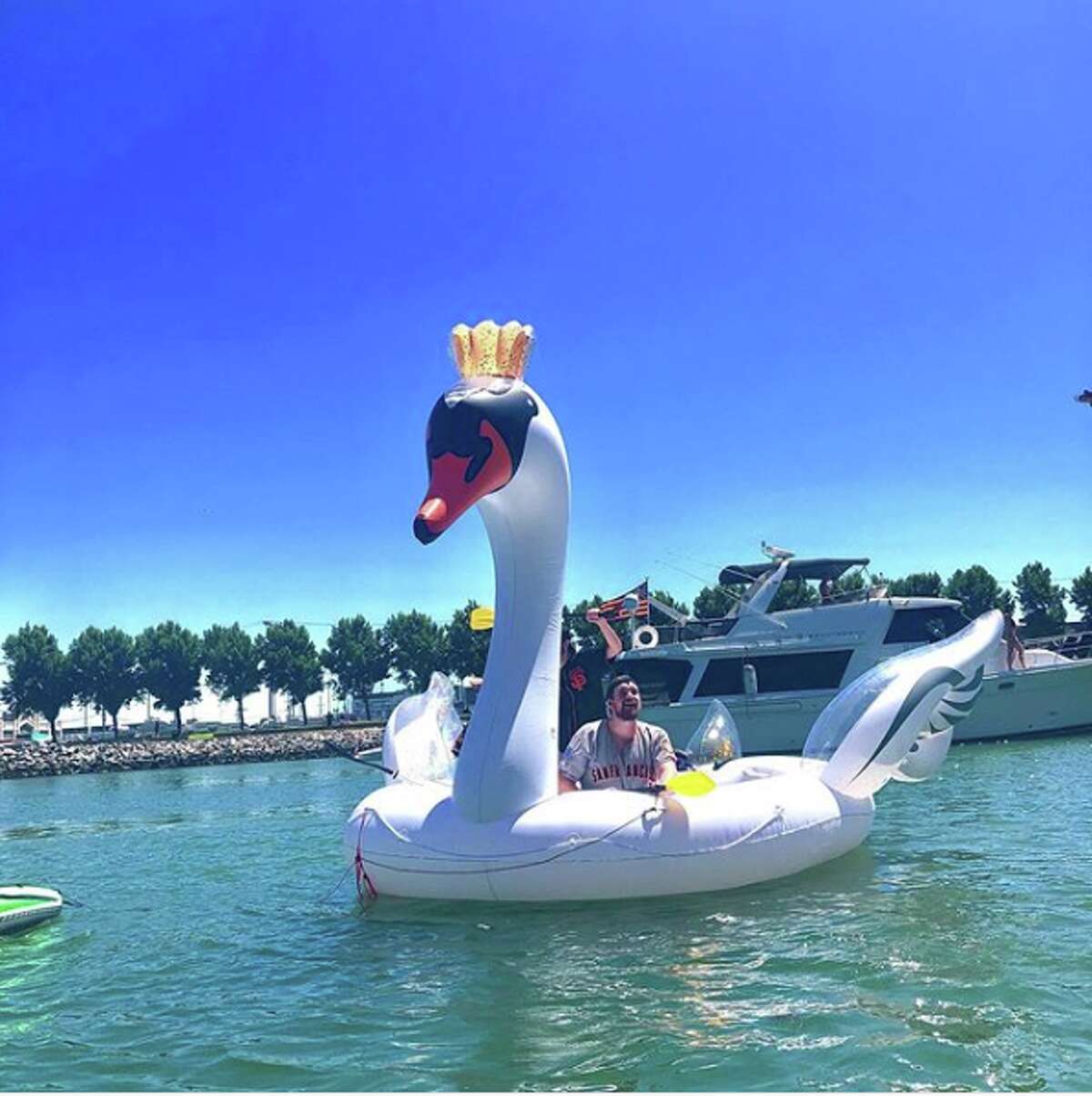 swan raft