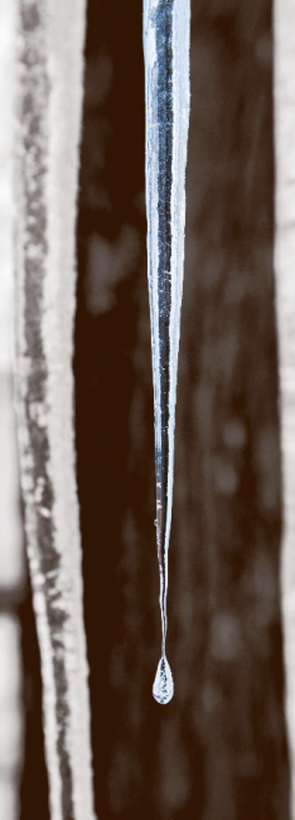 FROZEN DROPLET: This icicle is hanging off my house. Feel free to take your camera out and practice on just about anything. You’ll learn more about your camera and you may even surprise yourself with a brilliant shot.