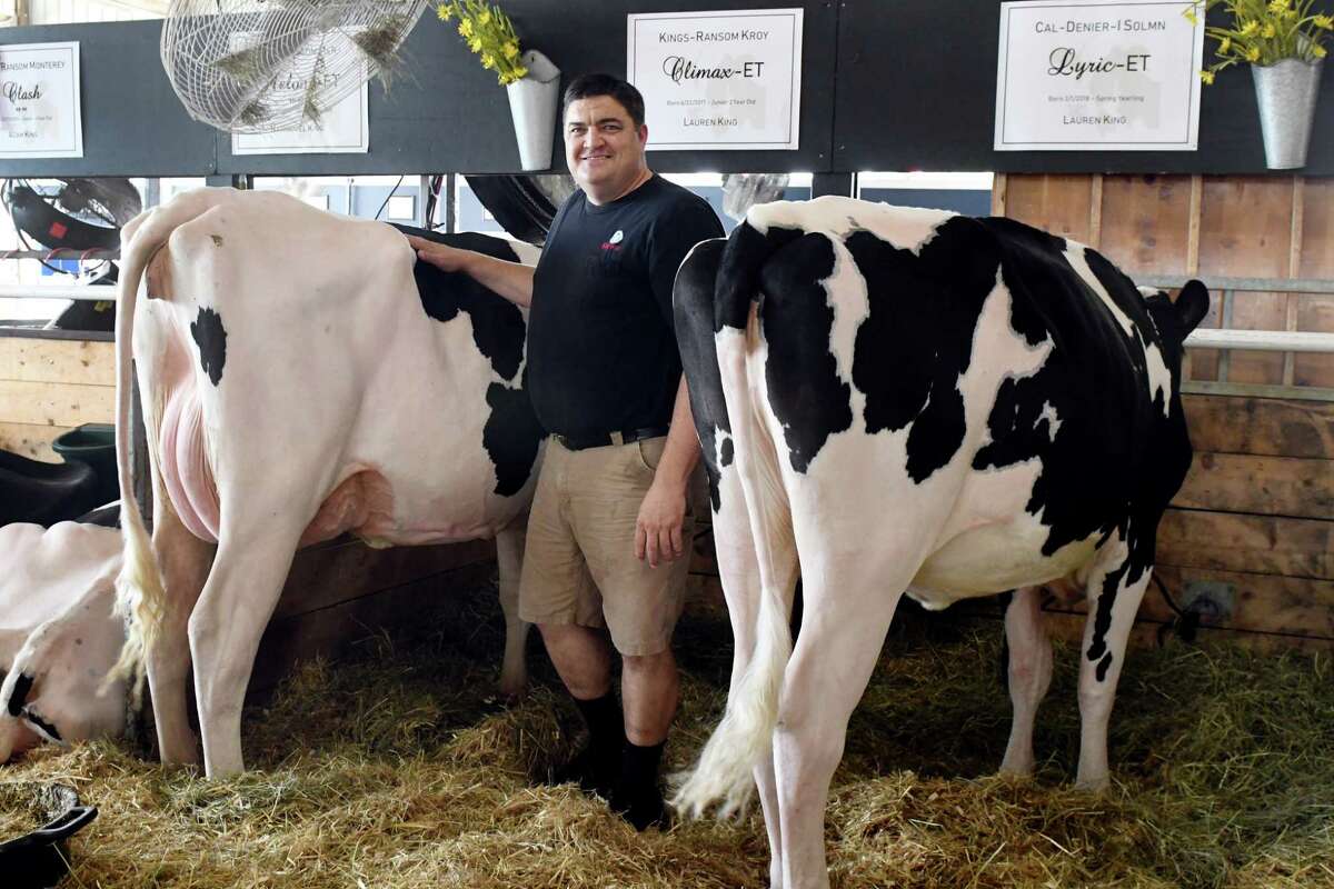 Jeff King of Kings Brothers Dairy poses for a portrait with his dairy cows, Climax, left, and Lyric, right, in the dairy barn at the Saratoga County Fair on July 25, 2019, in Ballston Spa, N.Y. (Catherine Rafferty/Times Union)