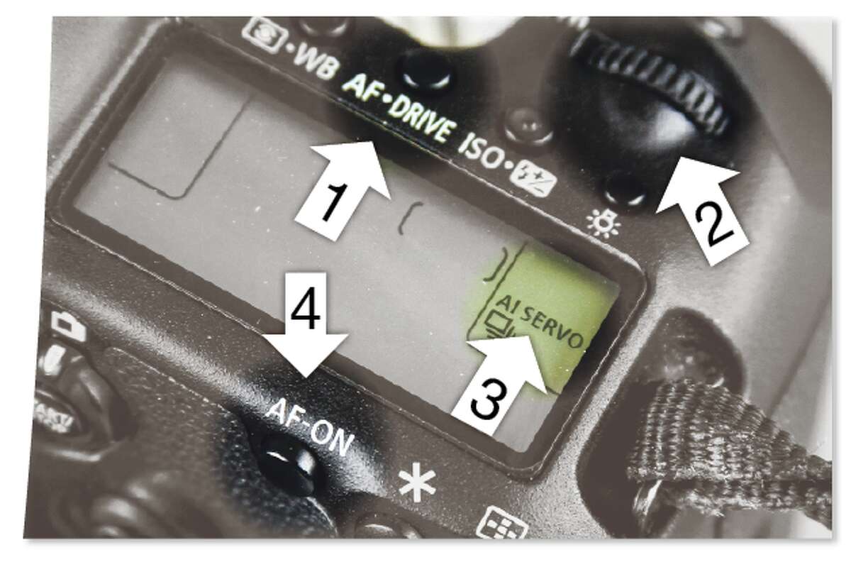 Use the AF-Drive button to turn your autofocus mode to AI SERVO by pushing the button and then using the dial near the shutter release button to change the mode to AI SERVO. Then use the AF-ON button when shooting to activate autofocus.