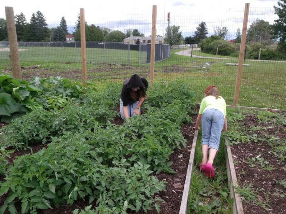Plots Available In Reed City Community Garden Big Rapids Pioneer