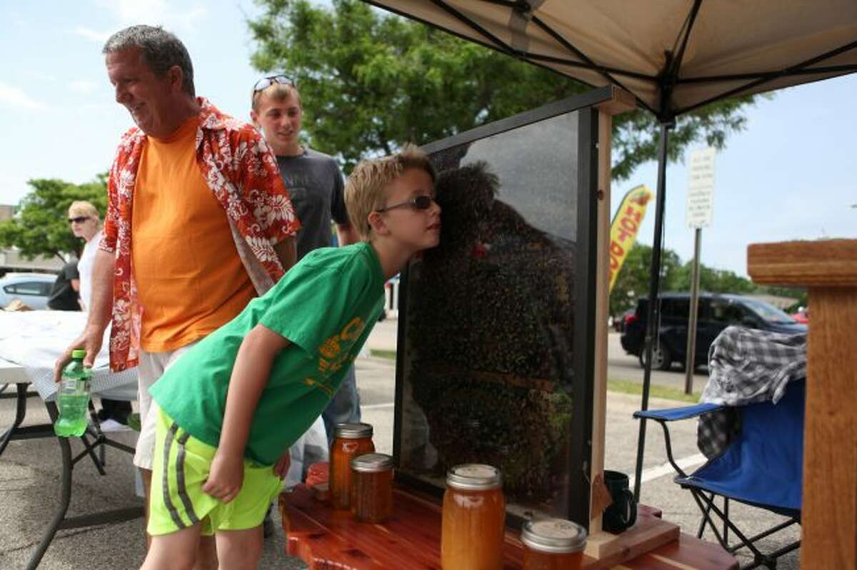 Big Rapids Downtown Farmers Market Features bee display