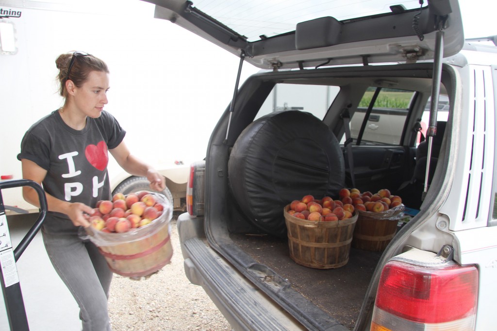 Stanwood Produce Auction to host annual pumpkin sale