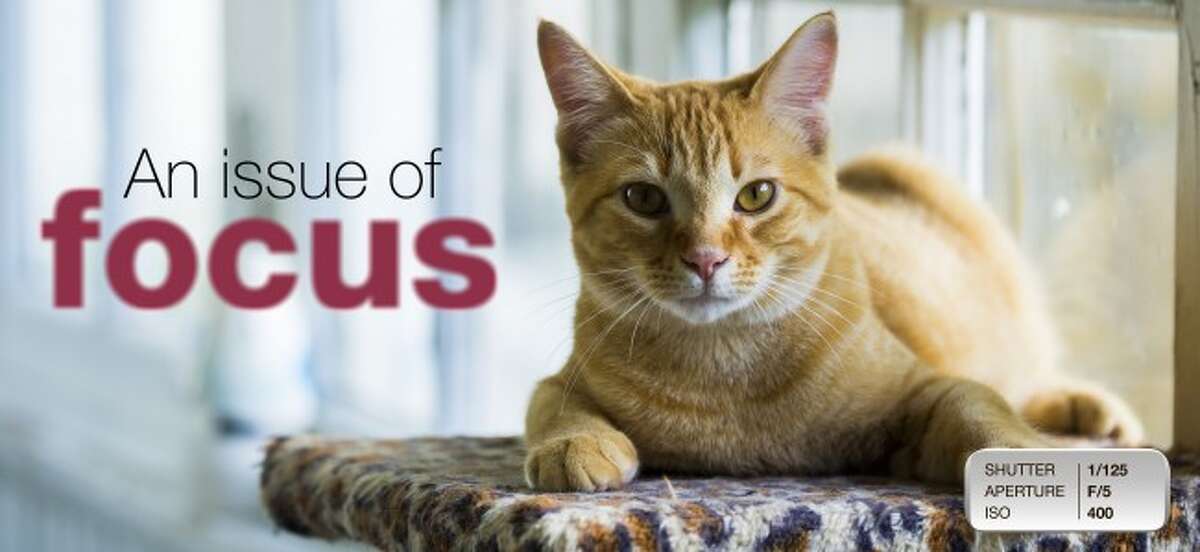 JUSTIN MCKEE An issue of focus