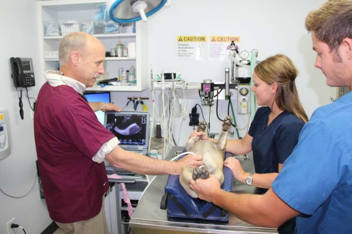 A new 'standard of care' A new 'standard of care'