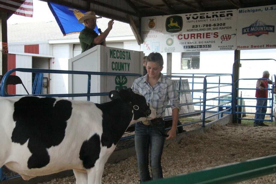 Mecosta County Agricultural Fair Concludes With 4 H Livestock