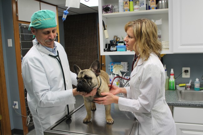 Local animal hospital earns national accreditation