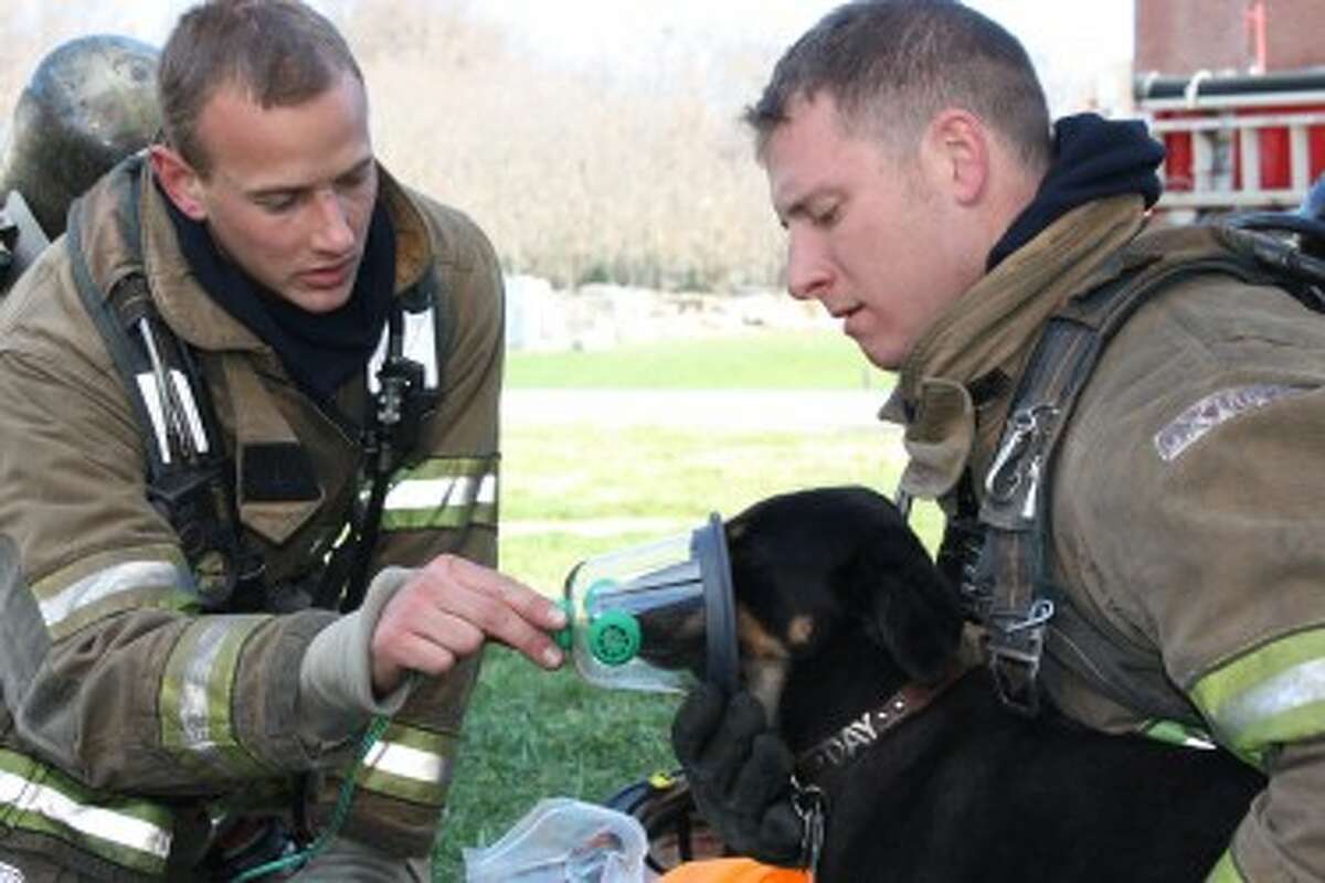 CANINE RESCUE: A dog receiving supplemental oxygen from two firefighters using the Wag'N O2 Fur Life large pet oxygen mask. (Courtesy Photo)