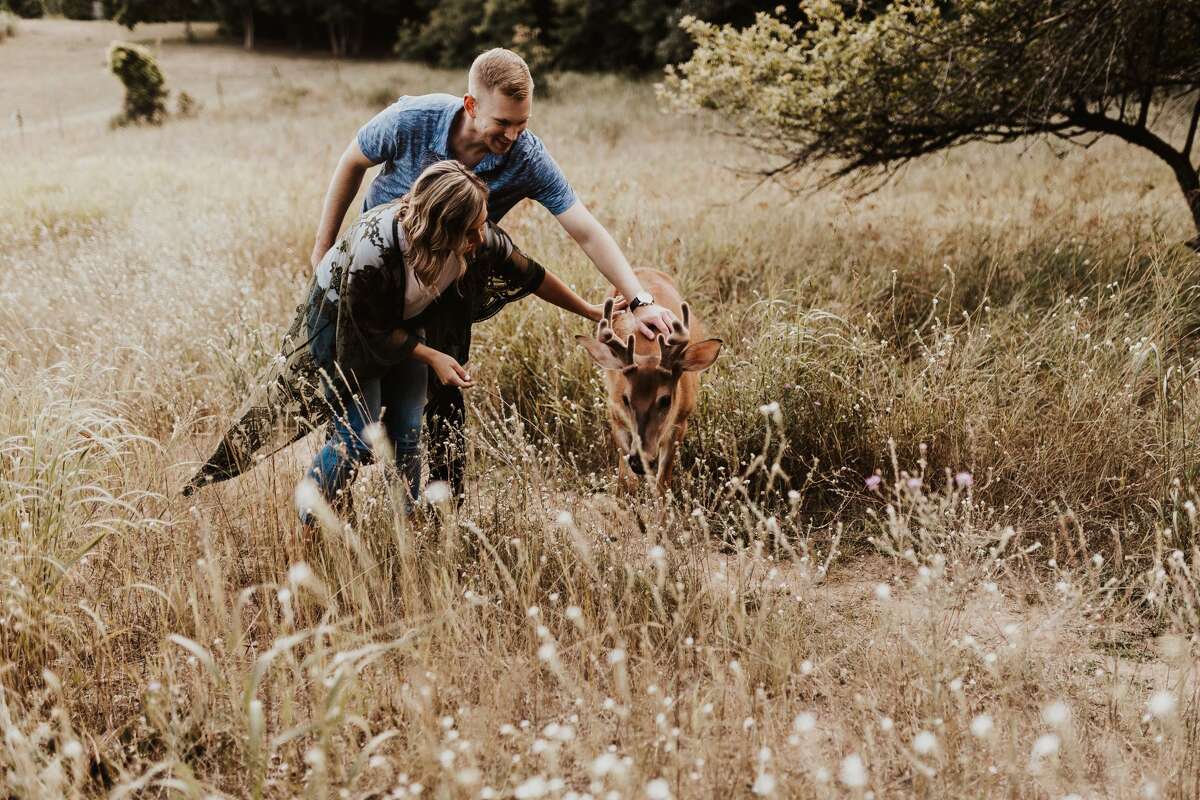 Surprise visitor makes for magical engagement photo shoot