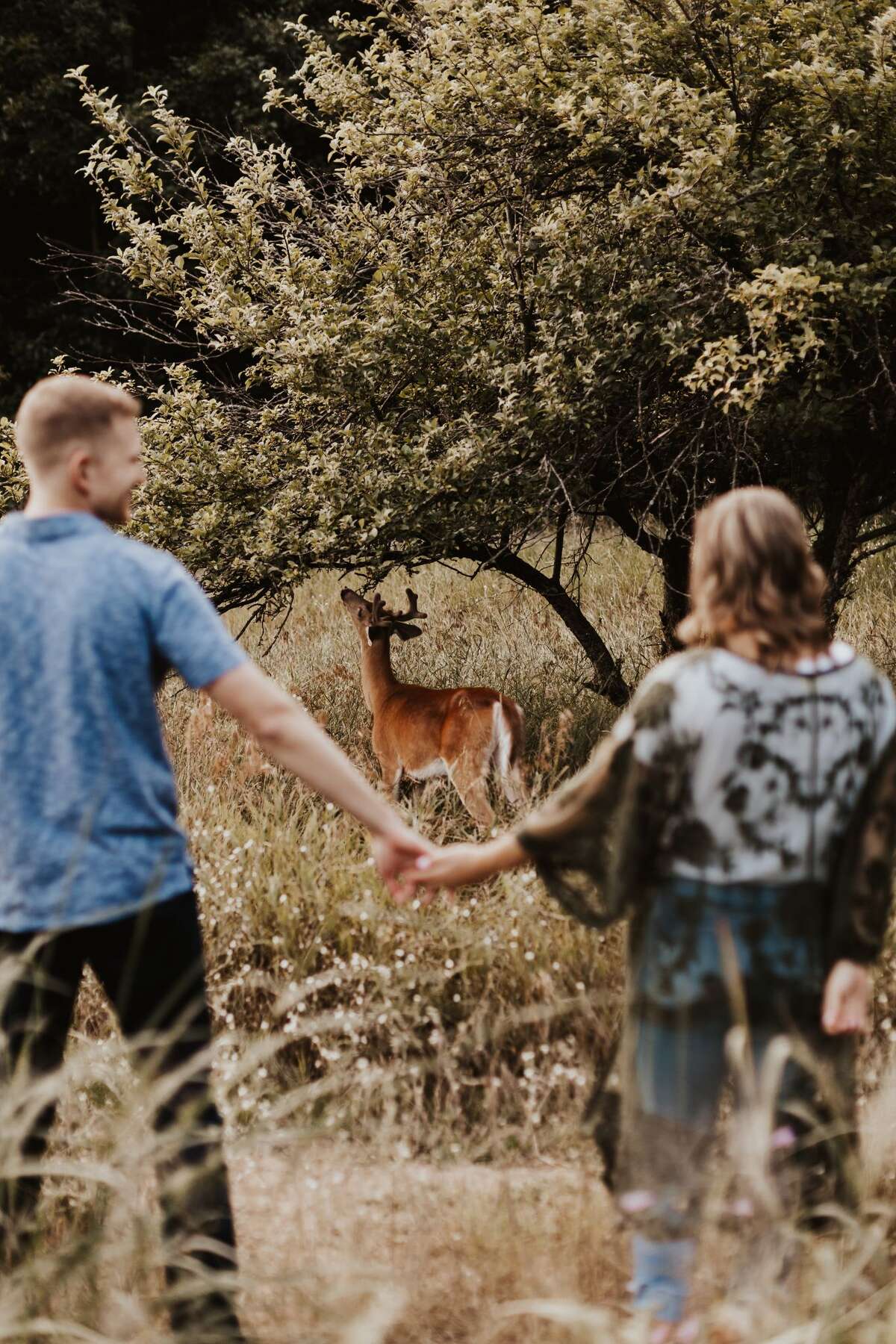 Surprise visitor makes for magical engagement photo shoot