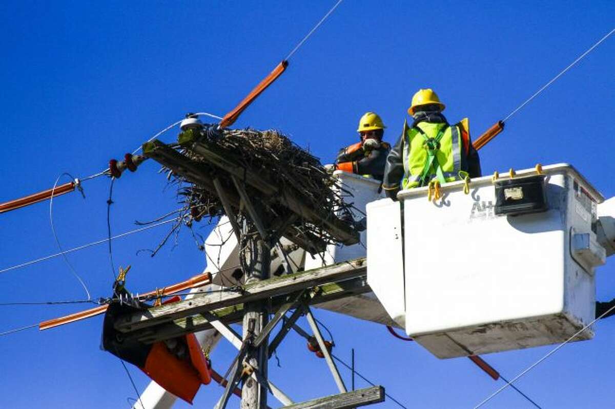 Consumers Energy raises pole to relocate osprey nest near Big Rapids