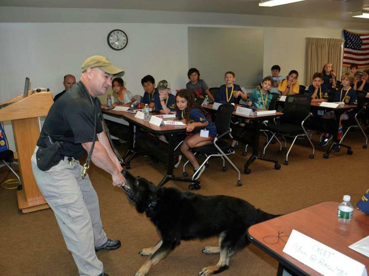 The Ridgefield Police Department hosted its annual Junior Police Academy in the middle of July. During the week-long summer program, campers from the Boys and Girls Club of Ridgefield visit police headquarters to learn what cops do on a daily basis. Exhibits included crime scene investigation, accident reconstruction, laser and radar training, and a K9 demonstration with police dog Loki (pictured above).