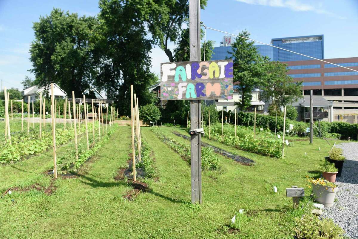Photos from Fairgate Farm in Stamford, Conn. Wednesday, July 17, 2019. Several students are working over the summer at Fairgate Farm to gain relevant work experience with their school studies.