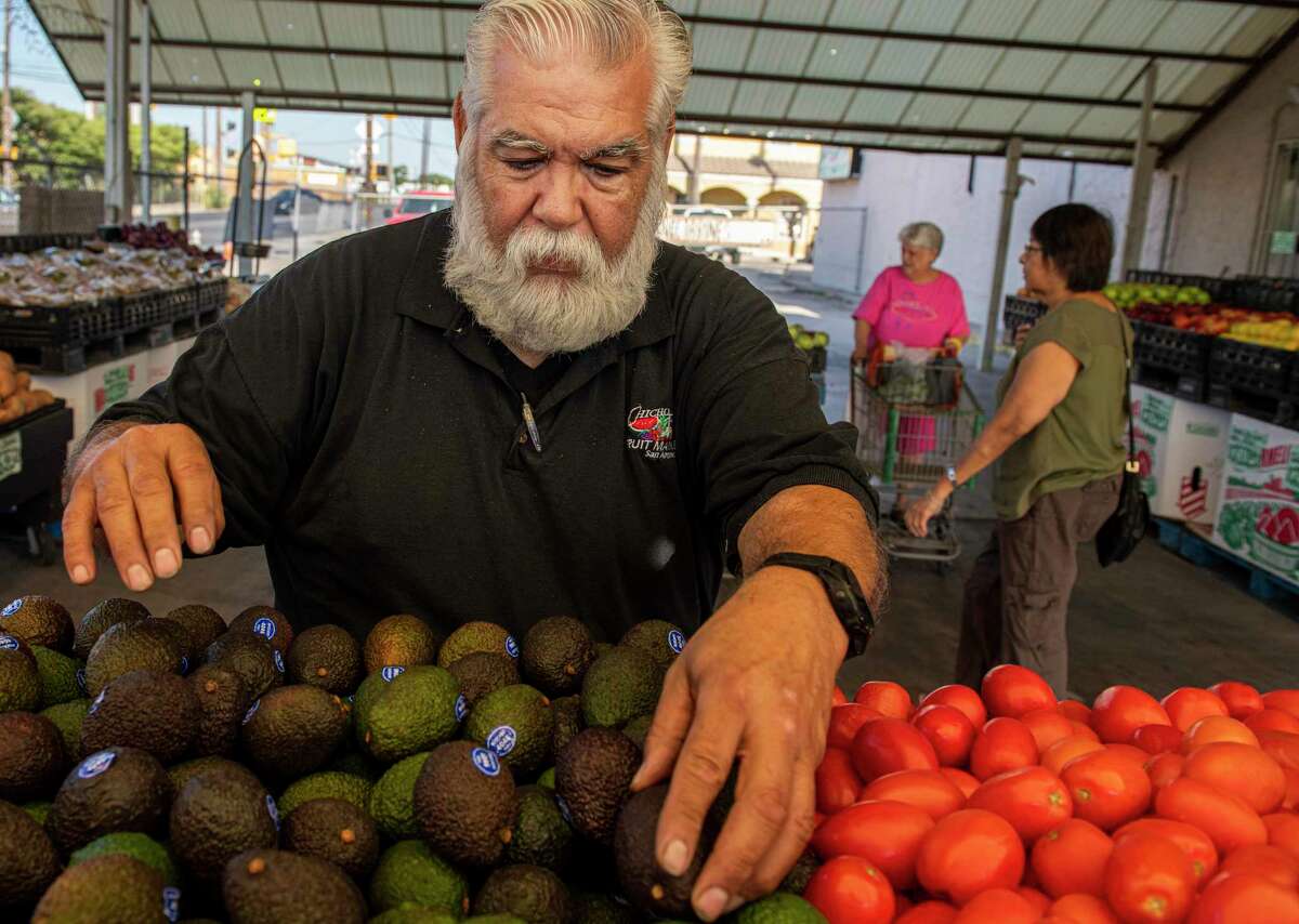 General Manager Gilbert Weaver sorts avocados at Chicho Boys Fruit Market. The fruit is a year-round favorite for San Antonians, but only 40 years ago, they were just a seasonal treat.