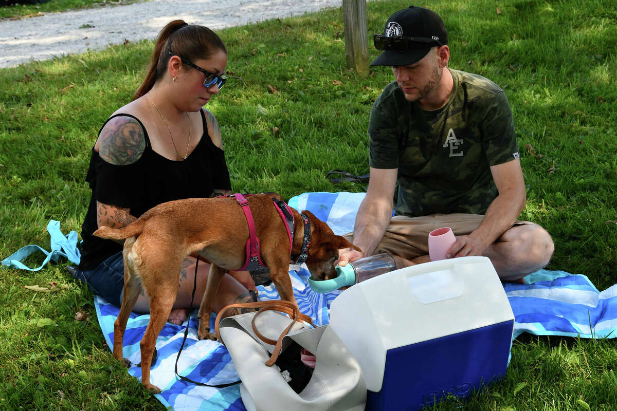 The 2nd Annual Wine and Woof Adoption Event was held at Sunset Meadows Vineyard on Sunday, July 28, 2019, from 1-4. The Little Guild brought pups to show guests for possible adoption, while tasting wines, gathering with friends and family, listening to live music and enjoying a Summer afternoon.