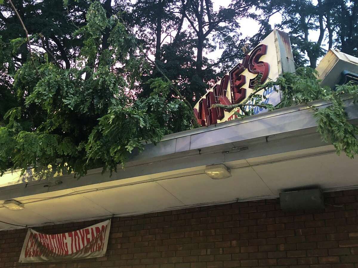The sign at iconic Mike's Hot Dogs on Union Street in Schenectady suffered damaged in a story July 28, 2019. (Mallory Moench)