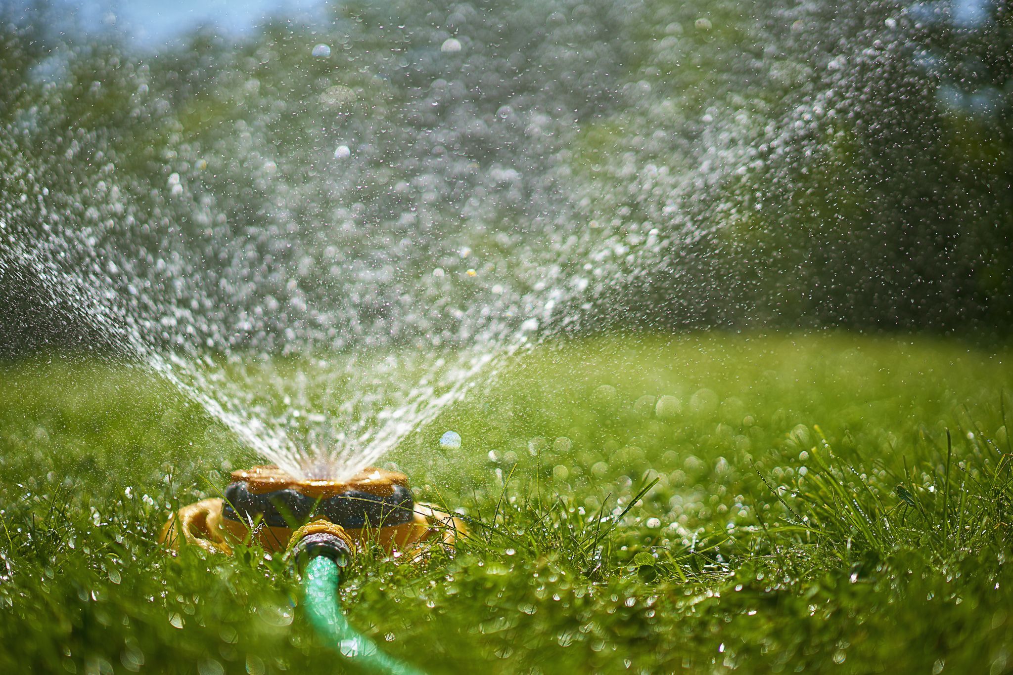 Laredo asks citizens to follow water irrigation schedule - Vimarsana News