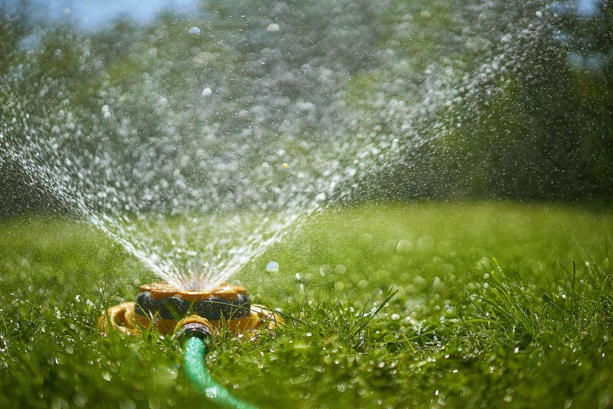 In this file photo, a Sprinkler is shown on a lawn.