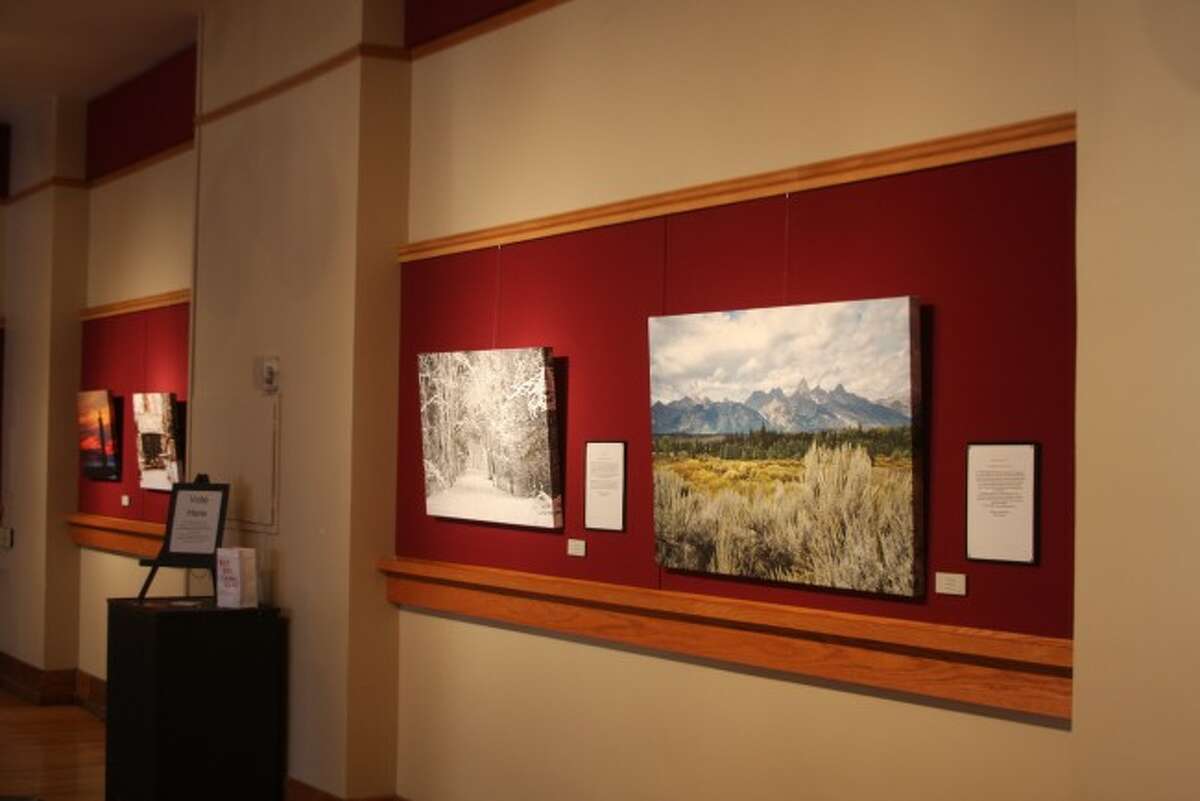 The Manistee Art Institute held many successful shows in 2014 and at the organization's annual meeting took a look ahead to the upcoming 2015 season.