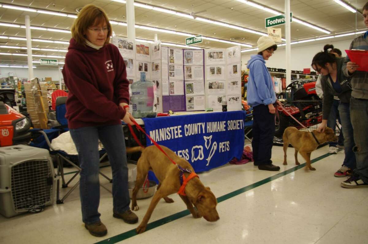 On the first Sunday of every month, the Homeward Bound Animal Shelter holds an adopt-a-thon at Manistee’s Family Farm & Home Store from 10 a.m. to 2 p.m. Here volunteers Colleen Kenny (left) and Lisa Rollin hold dogs. (Dave Yarnell/News Advocate)