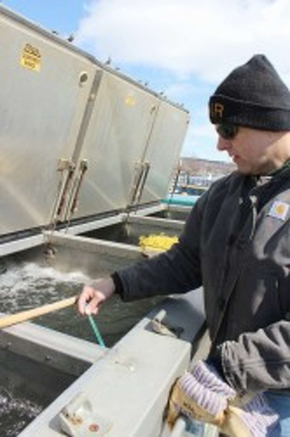 Steve Macloszek checks the temperature of the holding tank to make sure it isn’t too different from the temperature in the water. Fish should be released from higher temperatures to lower, which makes spring the best time for release. (Colin Merry/Pioneer News Network)