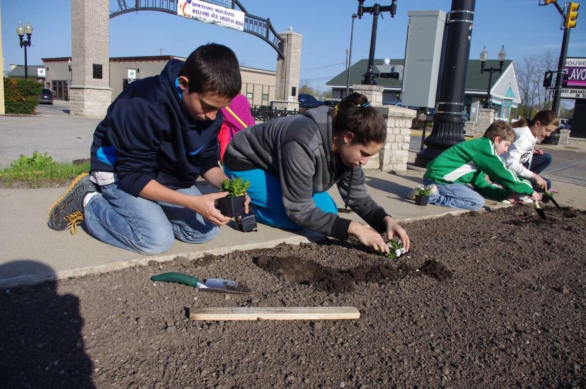 Students plant Manistee’s Blossom Boulevard