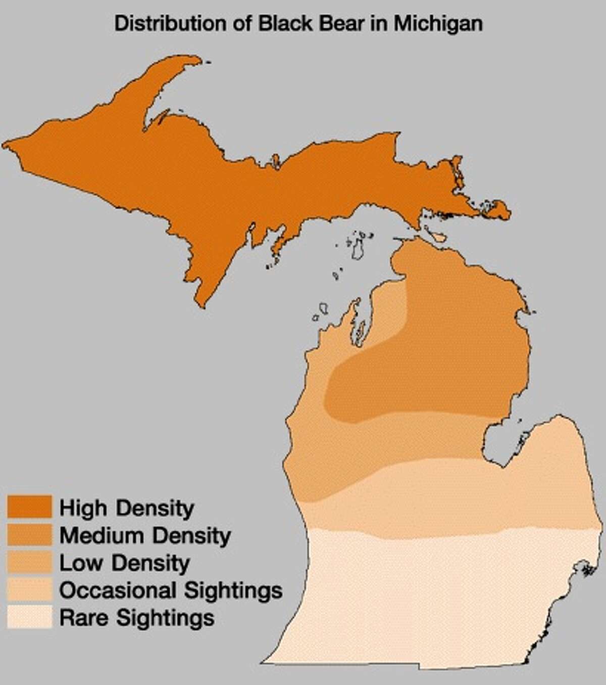 In the midst of bear country