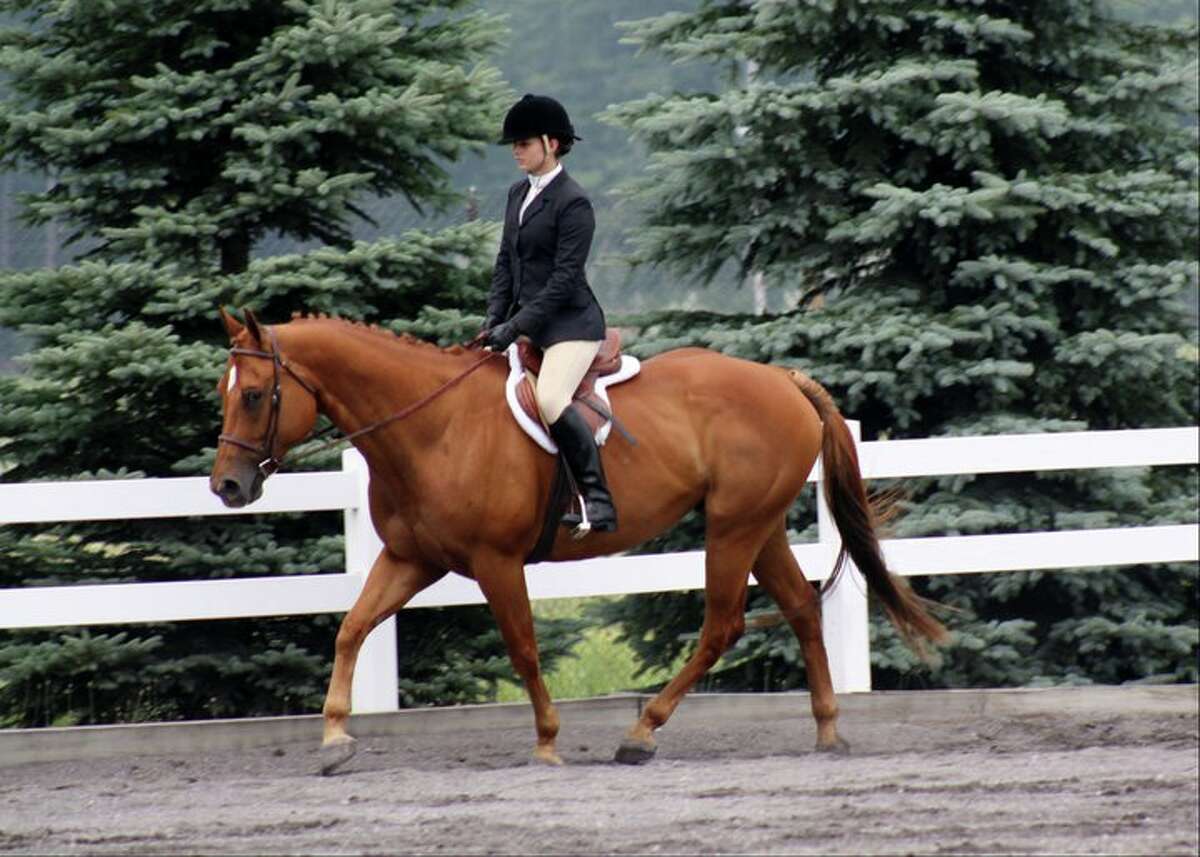 Local rider entered in Michigan State 4H Horse Show