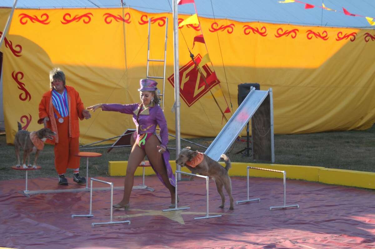 The Fantazia Circus was one of the many popular events at the Manistee County Fair this year.