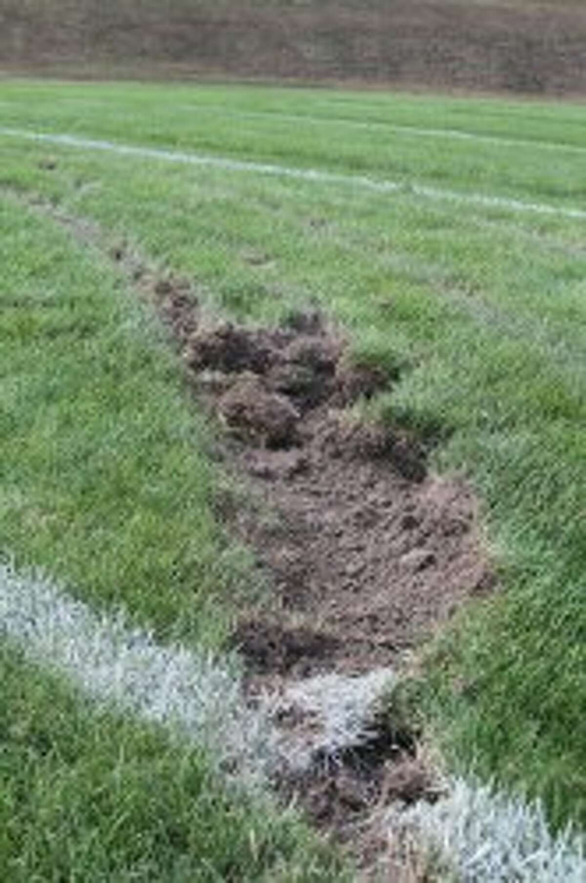 A vandal drove their vehicle onto the Saber Stadium field and ripped up chunks of the turf. (Matt Wenzel/News Advocate)