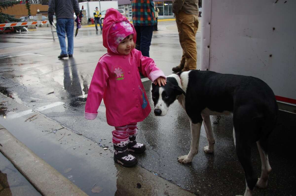 Last year Molly Alden got acquainted with one of Michelle Savich’s sled dogs on Saturday afternoon at Old Christmas Weekend. In addition to leading off the Victorian Sleighbell Parade at 5:30 p.m. Saturday, the sled dogs will be meeting the public from 2:30 to 5 p.m. Saturday at the corner of River and Division streets. (News Advocate File Photo)