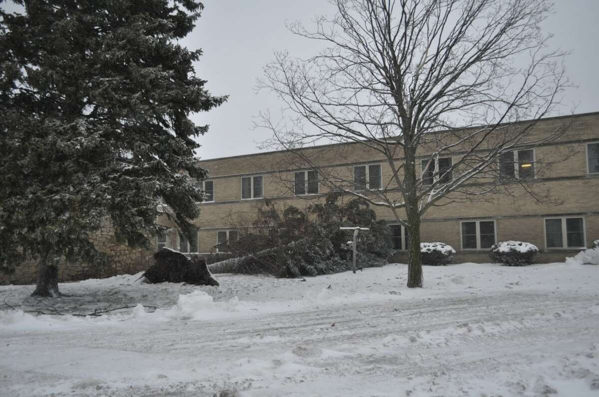 Winds in the 40 to 50 mph range brought many trees around the county to the ground on Friday. This tree, at the Manistee County Medical Care Facility, fell and grazed a patient’s window. (Eric Sagonowsky / News Advocate)