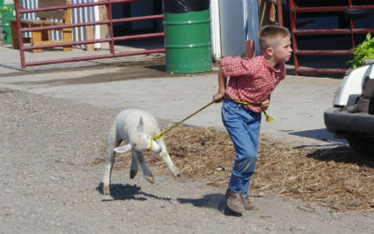 Western Michigan Fair opens today