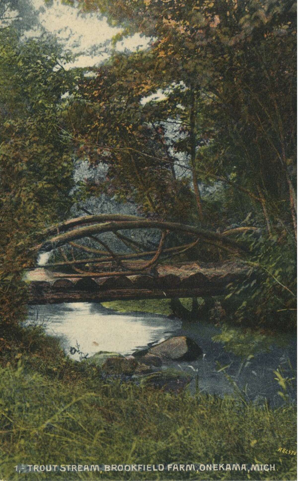 This early 1900s post card sought to entice tourists to the area with a photo of an Onekama trout stream. (Courtesy Photo/Manistee County Historical Museum)
