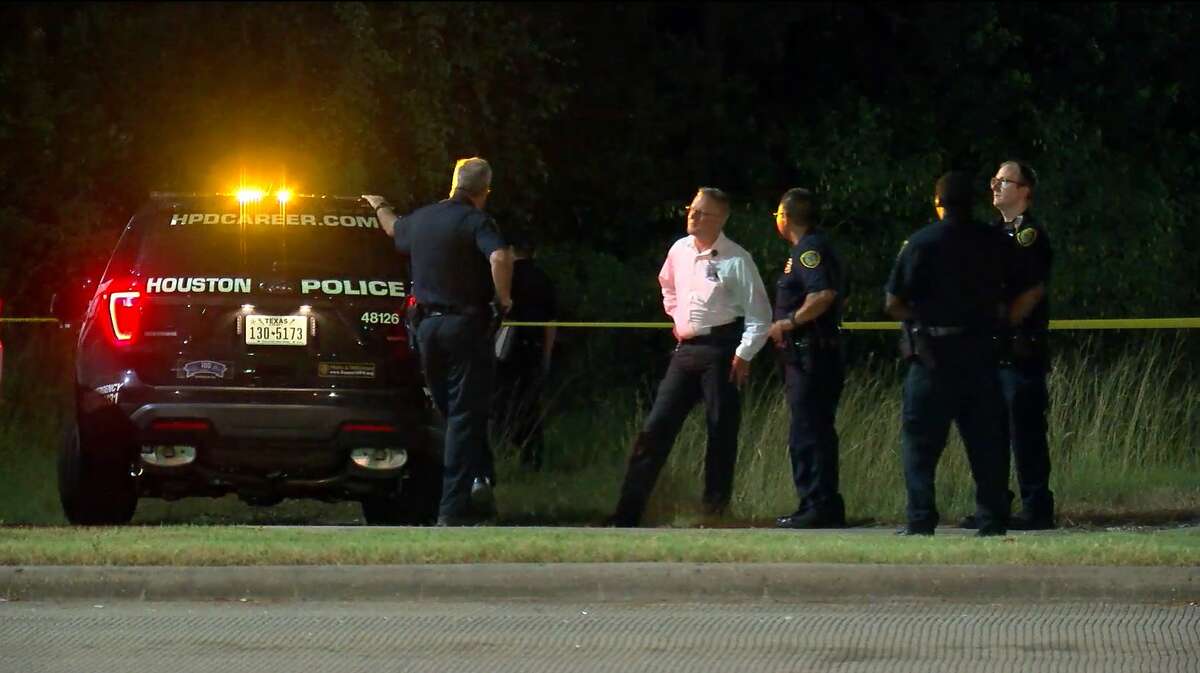 Police are investigating what appear to be human remains in a wooded area in off the Gulf Freeway on Tuesday, July 30 2019.