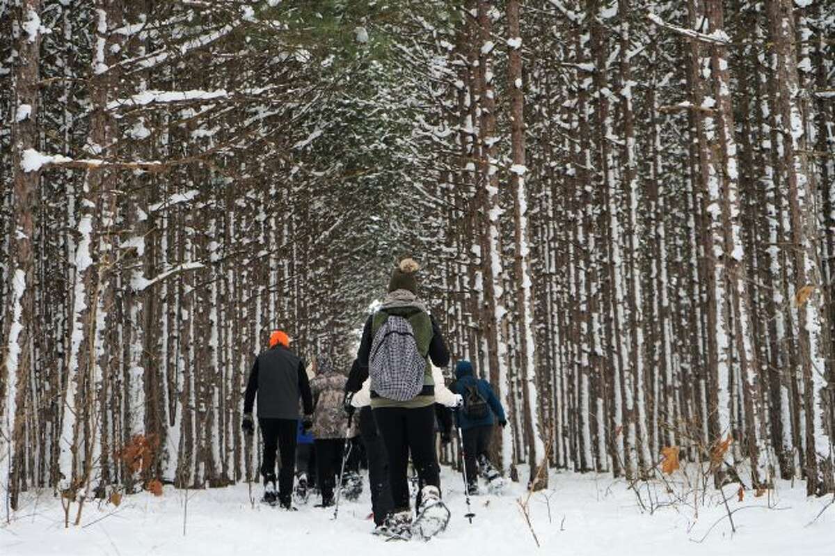 The Snowshoe Stampede event had a beautiful walk setup for attendees on Saturday through a snow-covered forest. (Ashlyn Korienek/News Advocate)