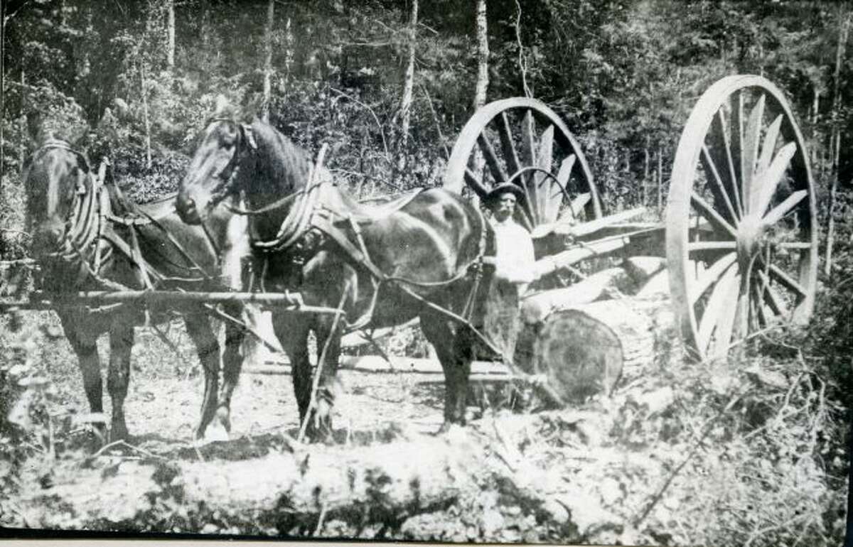 The Silas Overpack wheels were used for moving logs out of the woods as shown in this photograph from the 1880s in Manistee County.