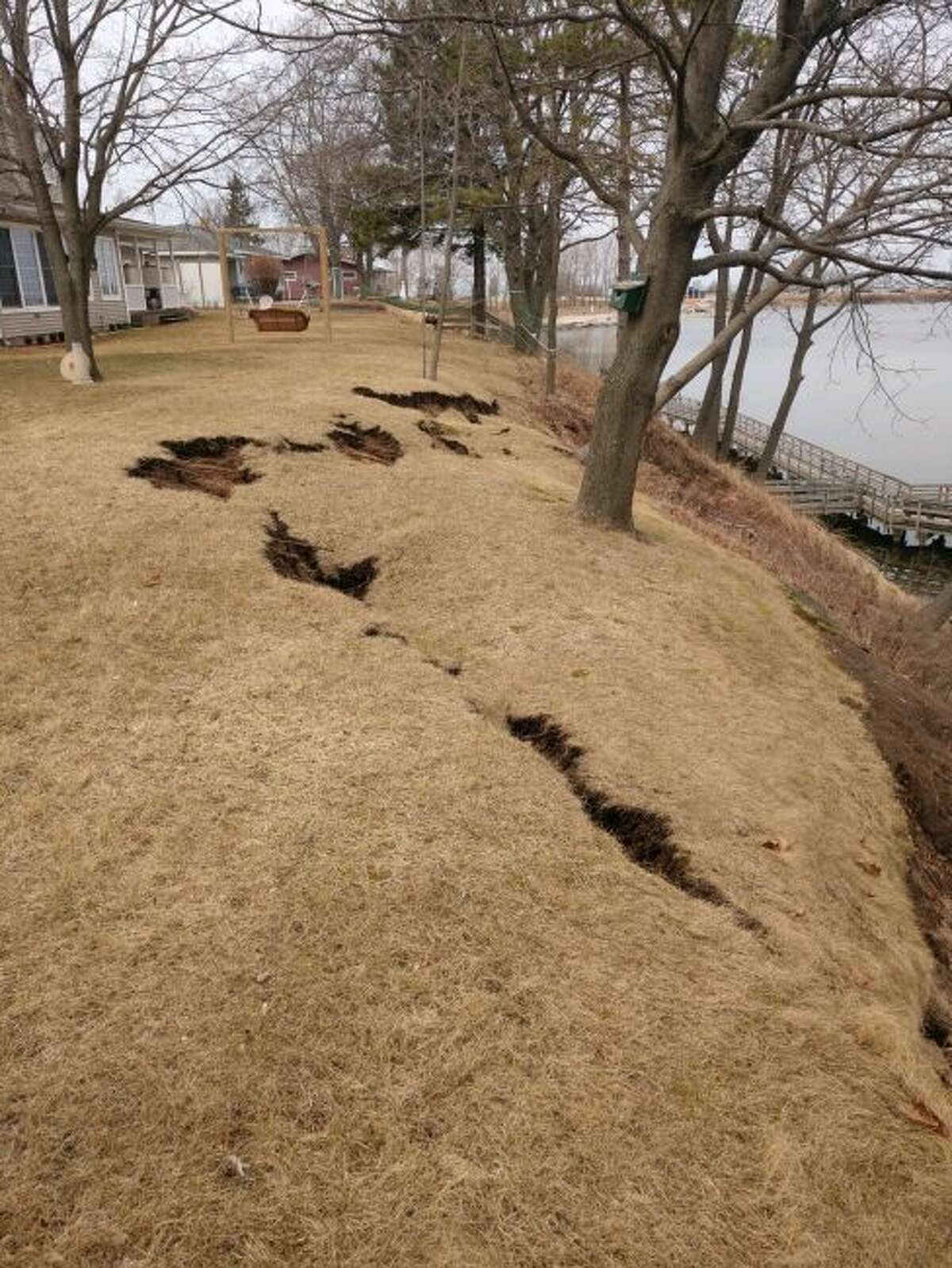 The city owns riverfront property upstream alongside private residential lots, beginning at the top of the bank. They have been alerted to recent severe erosion in this area. (Courtesy Photo/Jeff Mikula)