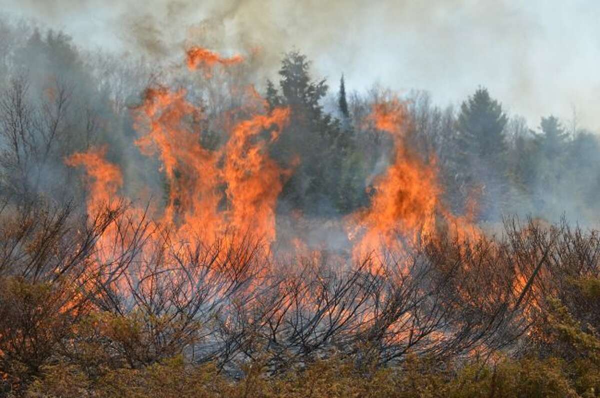 Flames consume the underbrush during a prescribed burn May 8, 2018 at Fayette Historic State Park in Delta County. Currently, fire danger is highest from southwest Michigan to the top of the northern Lower Peninsula. Everyone in the affected area should take extra precautions to prevent accidental fires. (Courtesy photo)