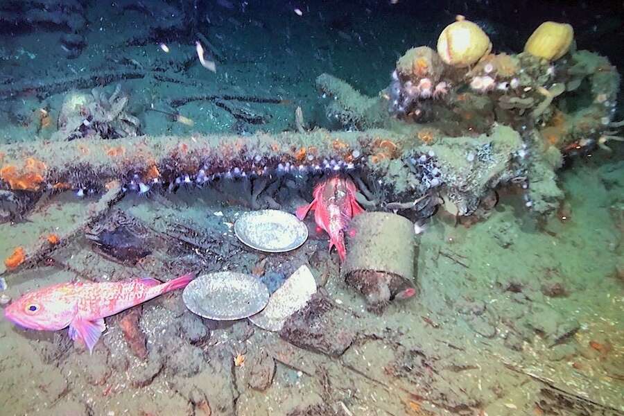 NOAA researchers discover two unexplored shipwrecks in the Gulf of ...