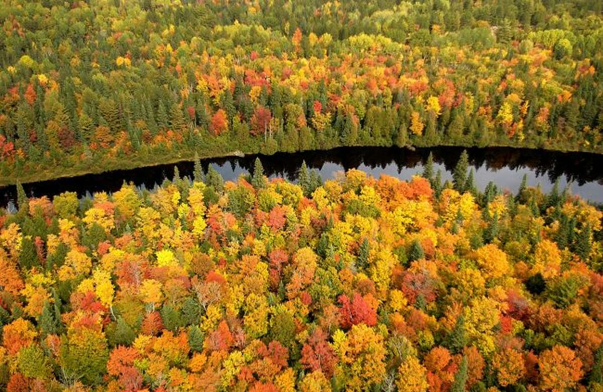 The Tahquamenon River in Michigan's Upper Peninsula is shown amidst a beautiful fall forest filled with colors. The State of Michigan has been a great supporter of protecting the forests and rivers located within its borders.