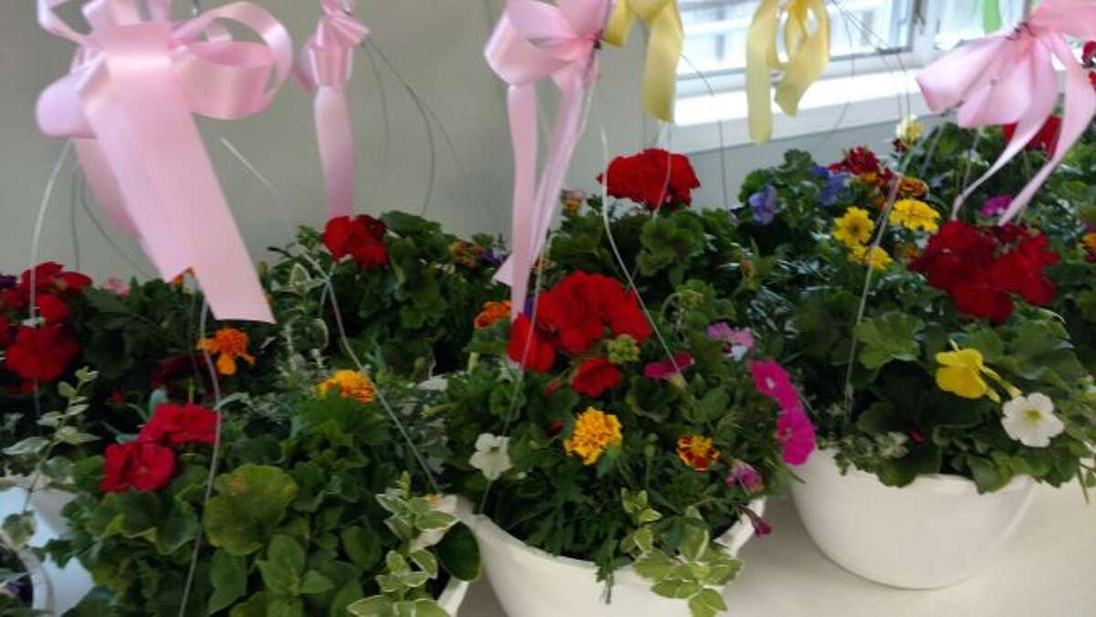 HOWARD Senior Center holding Mother's Day hanging baskets sale