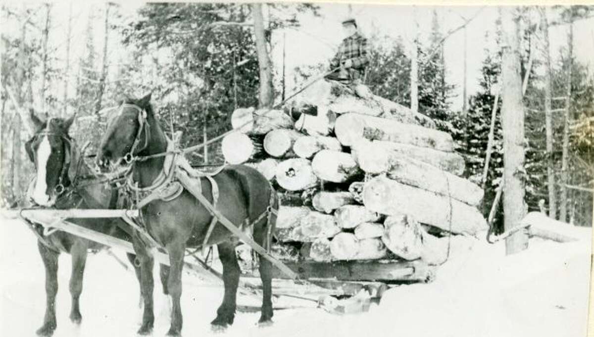 During the winter months the lumberjacks would use large sleds to haul logs out of the woods.