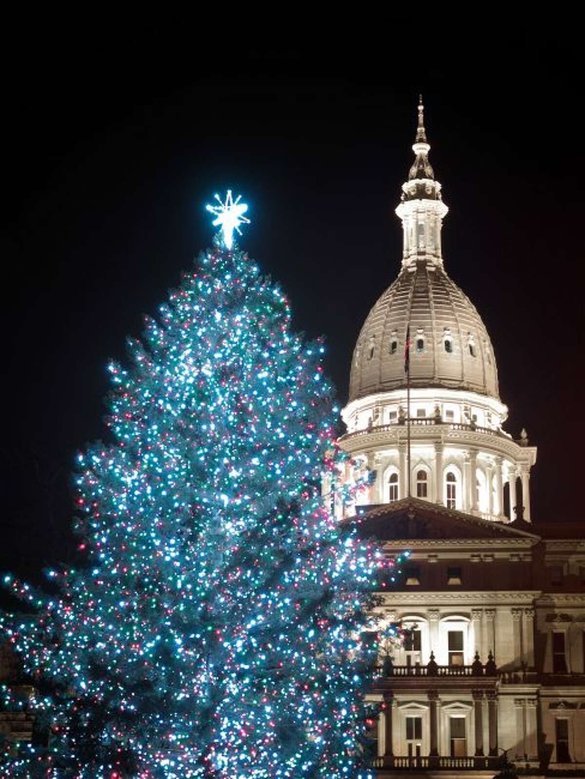 Mi Dnr 2022 Cutting Christmas Trees The Tradition Of Lighting The State Christmas Tree