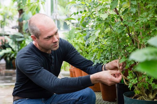 Faster decomposing trees can save energy costs
